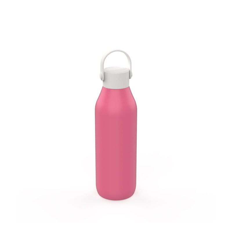Stainless Steel Insulated Bottle with Handle