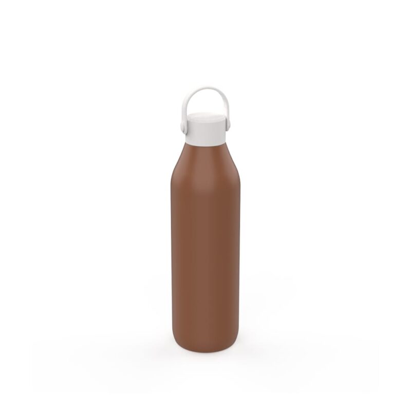 Stainless Steel Insulated Bottle with Handle