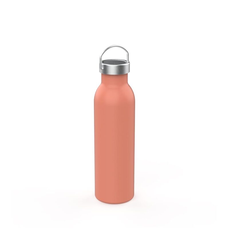 Stainless Steel Insulated Bottle with Handle