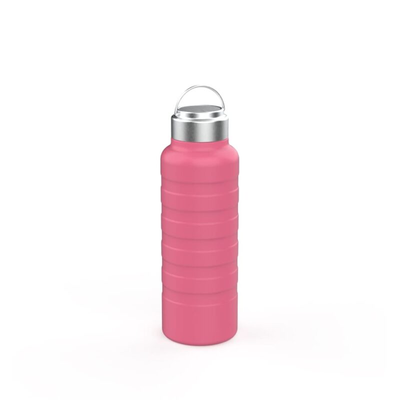 Stainless Steel Double Wall Travel Bottle