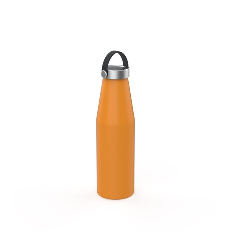 Stainless steel Bottle with Handle