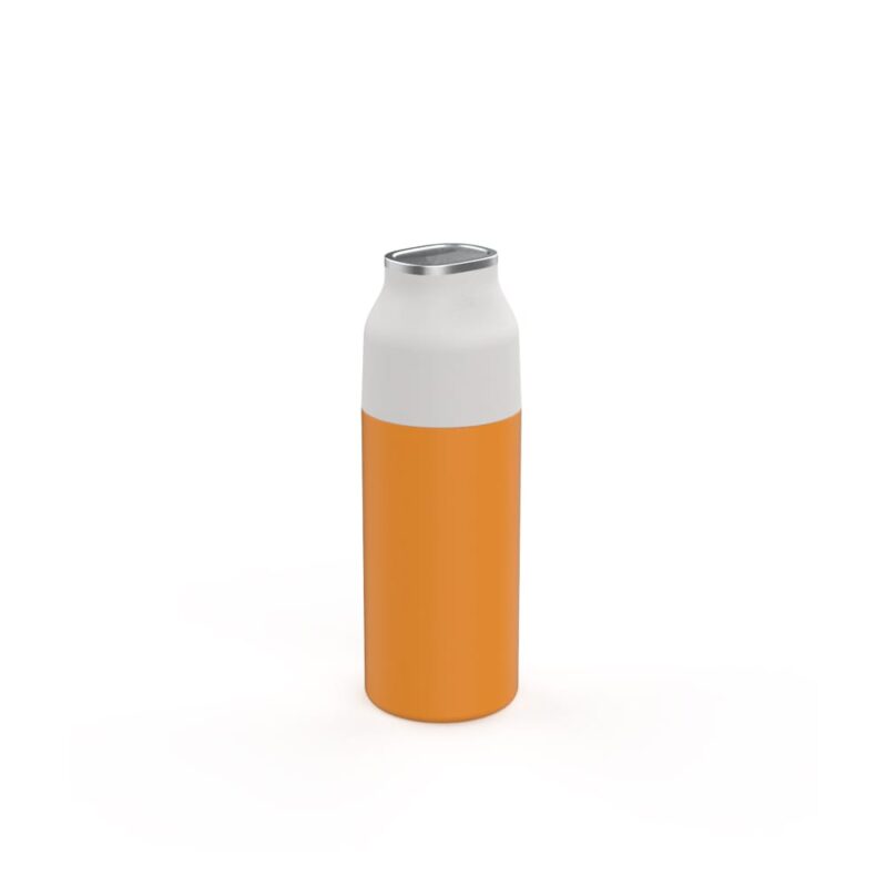 Stainless steel Vacuum Bottle