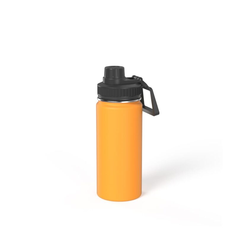 Stainless Steel Insulated Bottle